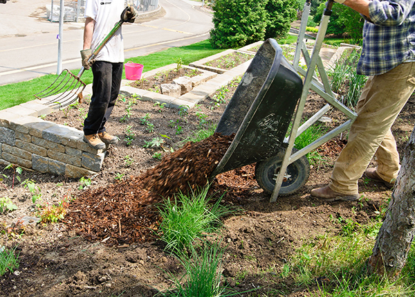 Seasonal Landscapers